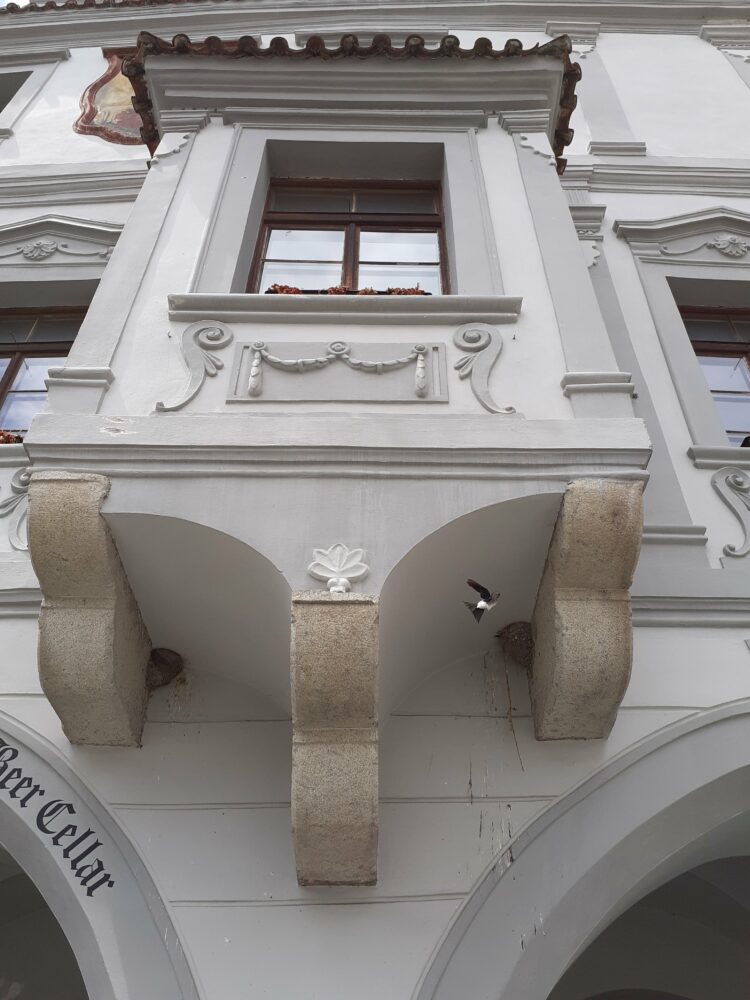 Prohlídka města - Detail domu na krumlovském náměstí